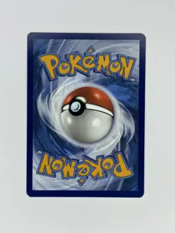 Dachsbun ex (Double Rare) - 067/142 Stellar Crown - Pokemon - SHIPS NOW - Image 3