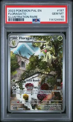 Pokemon Floragato #197 Illustration Rare- Paldea Evolved- PSA 10 Gem Mint - Image 1