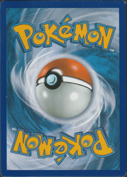Pokemon Beedrill 5/146 XY Base Set - Non Holo - Rare - MP FREE SHIPPING - Image 2