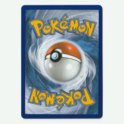Pokemon TCG First Partner Illustration Collection Series 1 Gen 7 Alola Starters - Image 5