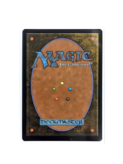 Terrasymbiosis R 0210 FOIL MTG Edge Of Eternities EOE EN NM/M - Image 2
