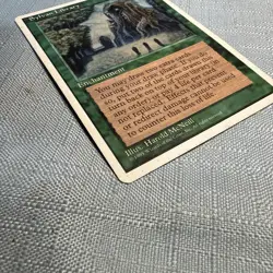MTG 4th edition, Sylvan Library. 1995 Vintage Magic! MP+ - Image 2