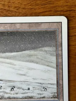 MTG Revised Tundra Magic the Gathering Revised Edition - Image 3