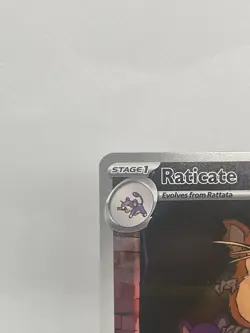 Raticate 99/88 POR EN Illustration Rare ME:03 Perfect Order Pokemon TCG NM - Image 3