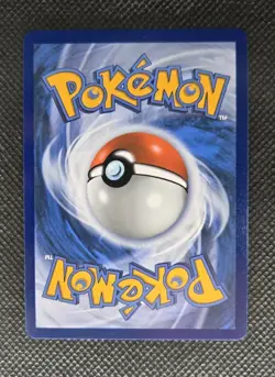 Pokemon TCG First Partner Illustration Collection Series 2 Gen 8 Galar Starters - Image 3