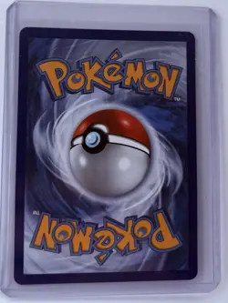 Pokemon First Partner Series 2 Johto Starter Set Chikorita Cyndaquil Totodile #2 - Image 3