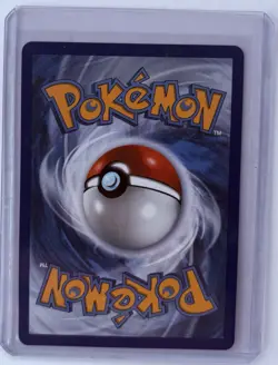 Pokemon First Partner Series 2 Johto Starter Set Chikorita Cyndaquil Totodile #2 - Image 5
