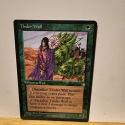 MTG - Tinder Wall - Ice Age - Regular - LP - FREE SHIPPING - Image 1