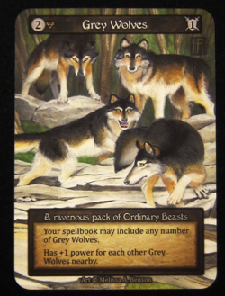 Sorcery Contested Realm Beta GREY WOLVES Ordinary Earth - Image 1