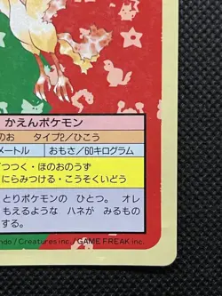 Pokemon Card Japanese Moltres No. 146 Top sun Topsun Nintendo 1995 Japan F/S - Image 4