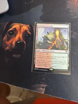 Mtg Stomping Ground - Edge of Eternities + Bonus Foils - Image 1