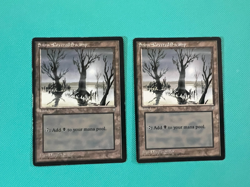 2x - Snow Covered Swamp - Ice Age - MTG - Magic the Gathering - LP/MP - Image 1