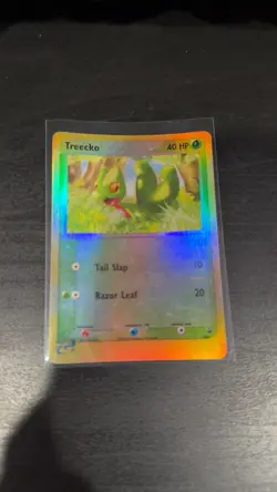 NM Treecko, Torchic, Mudkip Reverse Holo E Reader Promo Pokemon Cards RARE - Image 5