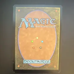 Wizards of the Coast Yavimaya Coast Apocalypse Regular Rare Land #143 EN 2001 - Image 2
