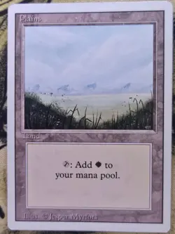Plains (A) 293 Land Revised Edition Magic: The Gathering Heavily Played - Image 1