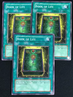 YUGIOH BOOK OF LIFE SD2-EN021 COMMON X3 (NM) - Image 1