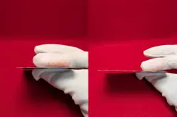 Ho-Oh ex 030/PLAY 4th Season 2006 Subscription Promo Japanese Pokemon Card - Image 3