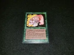 MTG 1x Revised green common LP French FBB Llanowar Elves ships w/ tracking - Image 1