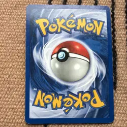 Nintendo Pokemon TCG Raikou 13/64 Neo Revelation Holo Rare 2000 80 HP Sugimori - Image 3