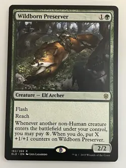 Rishkar, Peema Renegade Budget Commander Deck Magic the Gathering 100 Cards - Image 3