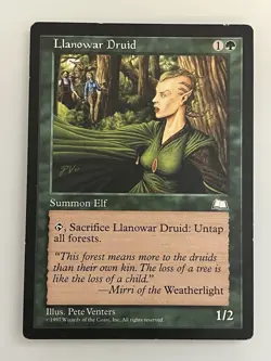 Rishkar, Peema Renegade Budget Commander Deck Magic the Gathering 100 Cards - Image 4