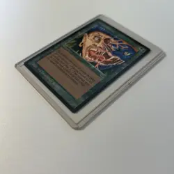 Metamorphosis Chronicles Magic the Gathering Card Green Sorcery - Image 2