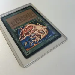 Metamorphosis Chronicles Magic the Gathering Card Green Sorcery - Image 3