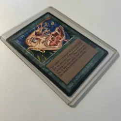 Metamorphosis Chronicles Magic the Gathering Card Green Sorcery - Image 5