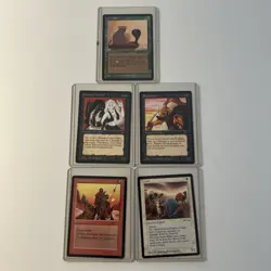 MTG Arabian Nights Lot 1993 - Image 1