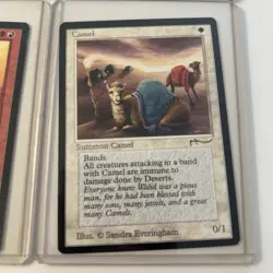 MTG Arabian Nights Lot 1993 - Image 3