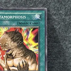 METAMORPHOSIS (LP) - PGD-090 Pharaonic Guardian - YuGiOh TCG - Unlimited LP. - Image 3