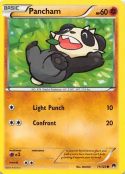 Pancham 71/122 Common BREAKpoint Pokemon NM-LP - Image 1