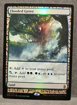MTG FOIL Flooded Grove (35/45) Zendikar Expeditions - Image 1