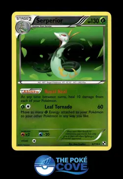 Serperior 6/114 | Black & White Reverse Holo | Pokemon Rare Holo | NM - Image 1