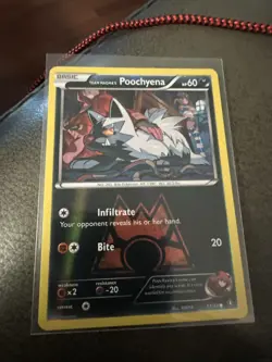 Team Magma's Poochyena Reverse Holo 17/34 Double Crisis 2015 - Image 1