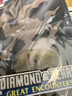 Pokemon SEALED Diamond & Pearl Great Encounters 2008 Prerelease Sleeves - Image 2