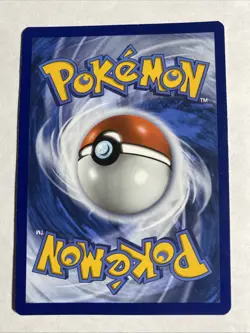 Tepig SWSH172 SWSH: Sword & Shield Promo Cards Holo - Image 2