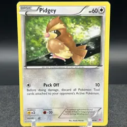 Pidgey 29/30 Common XY Trainer Kit Bisharp and Wigglytuff Pokemon Card - Image 1