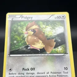 Pidgey 29/30 Common XY Trainer Kit Bisharp and Wigglytuff Pokemon Card - Image 5