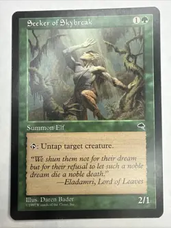 Seeker of Skybreak Tempest Regular - Image 1