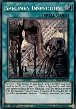 Yugioh - Specimen Inspection (Secret Rare) (1st Edition) - BLAR-EN013 (P) - Image 1