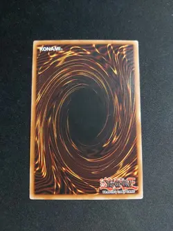 Rosa Splendida TSHD-IT043 (Splendid Rose) Rara Ultimate • 1a Ed • YuGiOh! - Image 2