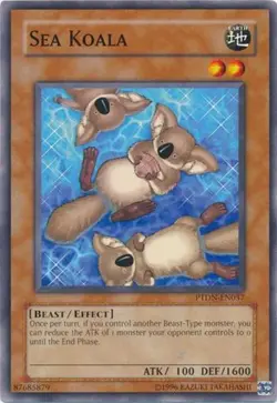 Sea Koala - PTDN-EN037 - Common - Unlimited Edition - Lightly Played - Image 1
