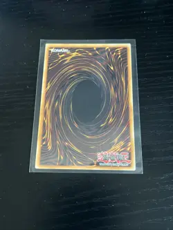 Raidraptor - Rising Rebellion Falcon PHNI-EN045 - Ultra Rare - Yu-Gi-Oh! TCG NM - Image 2