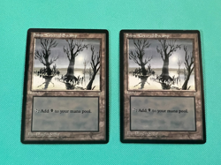 2x - Snow-Covered Swamp - Ice Age - MTG - Magic the Gathering - x2 - Image 1