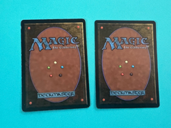 2x - Snow-Covered Swamp - Ice Age - MTG - Magic the Gathering - x2 - Image 2