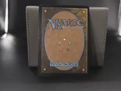 Ral Zarek, Guest Lecturer (Borderless) Secrets of Strixhaven Foil - Image 2