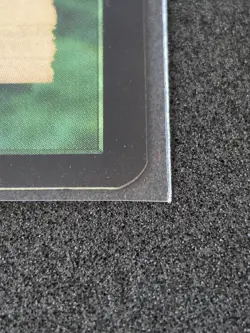 MTG Survival of the Fittest (EXO) Lightly Played - Image 2