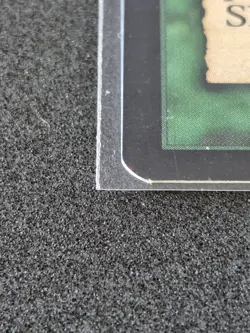 MTG Survival of the Fittest (EXO) Lightly Played - Image 3