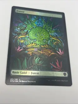 Forest (Showcase) Dominaria United Foil NM/LP - Image 1
